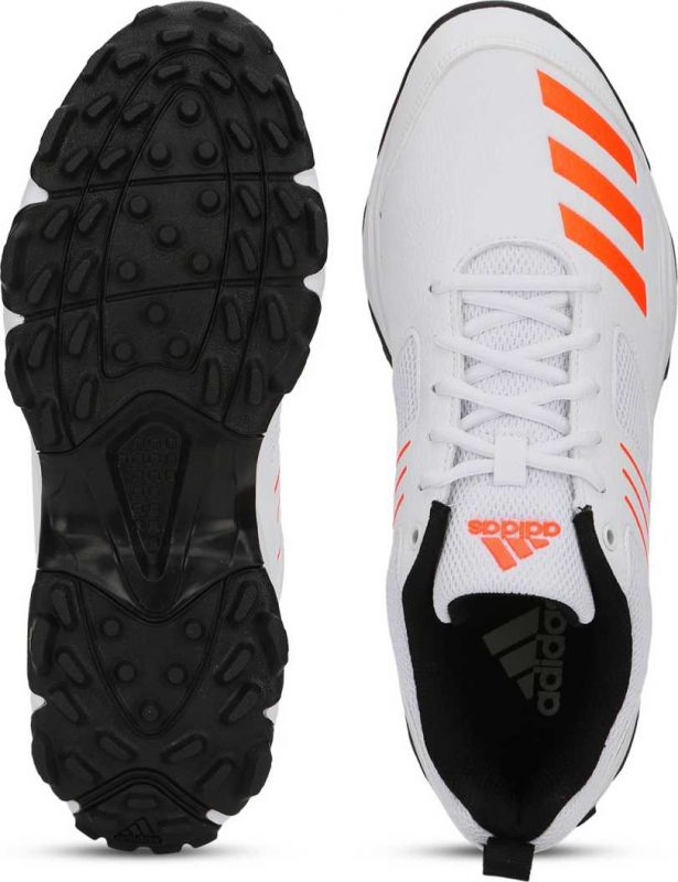 ISPORTS CRICKET