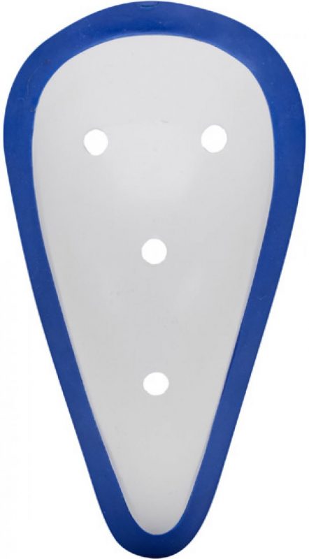ISPORTS CRICKET