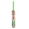 Gray Nicolls English Willow Cricket Bat Fusion GN5