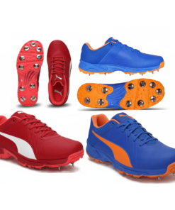 Puma Spike 19.2 Spike Cricket Shoes.