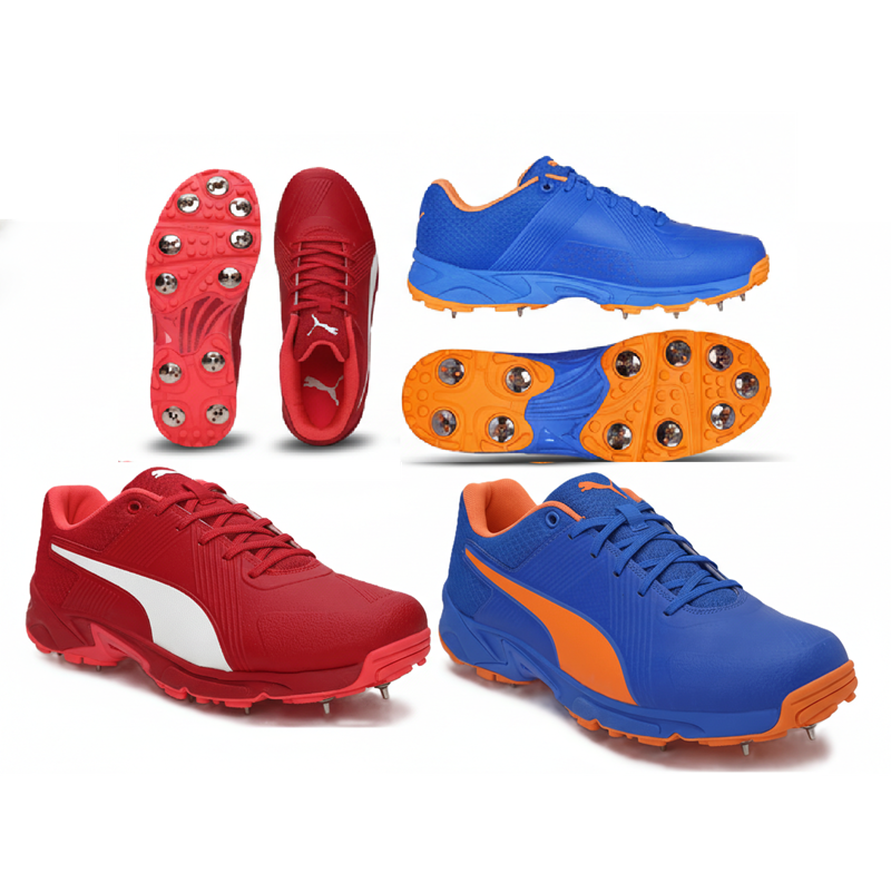 Puma Spike 19.2 Spike Cricket Shoes.