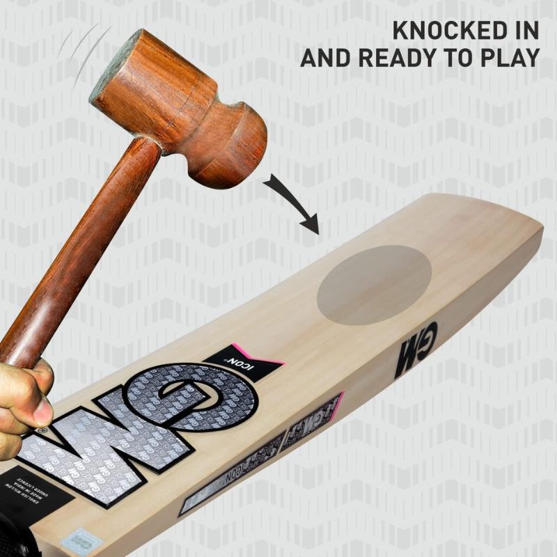 ISPORTS CRICKET
