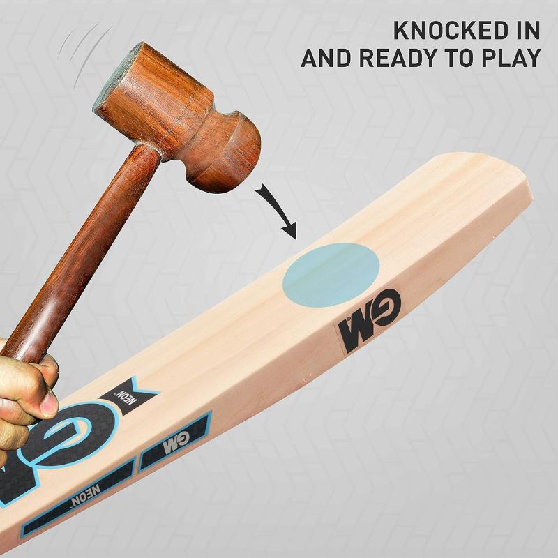 ISPORTS CRICKET