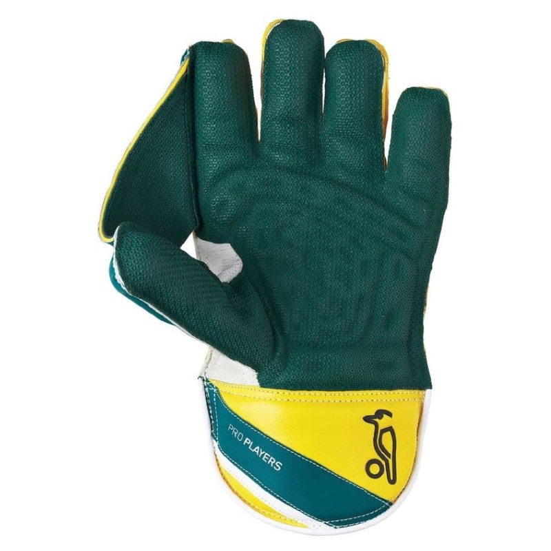 ISPORTS CRICKET
