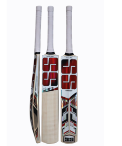 SS Cricket Master Kashmir Willow Cricket Bat