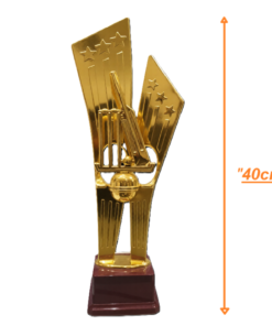 GOLD TROPHY FOR BEST ALLROUNDER