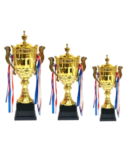GOLD TROPHY for Tournaments.