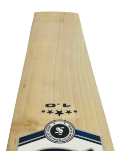 Alternative view of ISports 111 English Willow BAT.