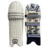 ISports Batting Leg Guard GOLD Edition.