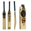 ISports RS18 English Willow BAT.