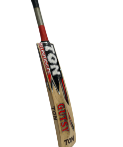 Alternative view of SS English Willow BAT TON GUTSY.