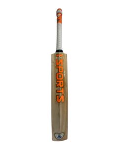 Alternative view of ISports Kashmiri Willow BAT Warrior