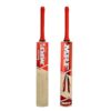 MRF Blaster Kashmir Willow Cricket Bat