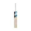 New Balanace DC PLAYERS EDITION English Willow Bat