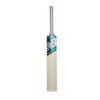 New Balance DC 650i English Willow Bat